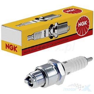 SPARK PLUG NGK B7HS10