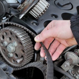 TIMING BELT  Audi I/PAS 5 EARLY