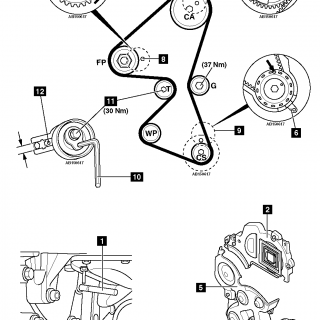 TIMING BELT Citroen 224DT TB35705