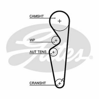 TIMING BELT FiatT BRAVO 1.4 12V