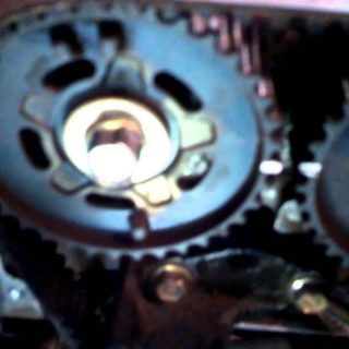 TIMING BELT Mazda ZM TB61031