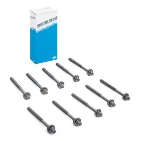 victor reinz head bolts  M47 NF56457 